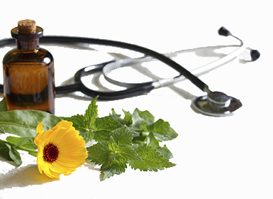 Naturopathy and nutrition at the Hollister Wellness Clinic